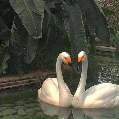 乐鱼彩票官网app下载